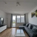 Rent 1 bedroom apartment in berlin