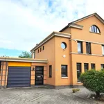 Rent 3 bedroom house of 146 m² in Eindhoven