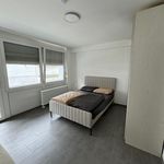 Rent 1 bedroom apartment of 30 m² in Stuttgart