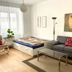 Studio o rozloze 43 m² v Prague