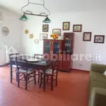 Rent 3 bedroom apartment of 80 m² in Taranto