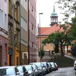 Rent 1 bedroom apartment of 45 m² in Prague