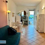 Rent 2 bedroom apartment of 56 m² in Turin