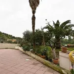 Rent 3 bedroom apartment of 75 m² in Messina