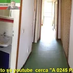 Rent 1 bedroom apartment of 35 m² in Pavia