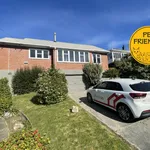 Rent 3 bedroom house in dunedin