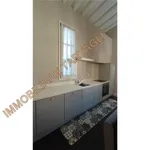 Rent 3 bedroom apartment of 82 m² in Firenze