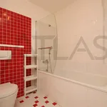 Pronajměte si 3 ložnic/e byt o rozloze 133 m² v Prague