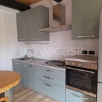 Rent 2 bedroom apartment of 70 m² in Bologna