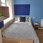 Rent 1 bedroom apartment in Liverpool