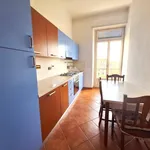 Rent 3 bedroom apartment of 85 m² in Turin