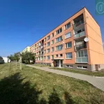 Rent 4 bedroom apartment of 85 m² in Pardubice