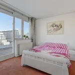 Rent 2 bedroom apartment of 75 m² in Scheveningen Badplaats