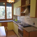 Rent 4 bedroom apartment of 90 m² in Bologna