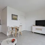 Rent 1 bedroom apartment of 55 m² in Antwerp