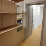 Rent 1 bedroom apartment of 90 m² in Brno