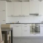 Rent 1 bedroom apartment of 40 m² in Zürich