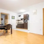 Rent 1 bedroom apartment of 40 m² in Strožanac Donji