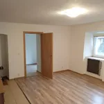 Rent 1 bedroom apartment in Olomouc