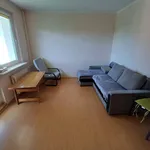 Rent 3 bedroom apartment of 53 m² in Szczecin