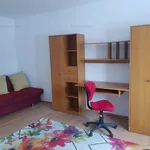 Rent 1 bedroom apartment of 28 m² in Timișoara