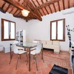 Affitto 3 camera casa di 73 m² in Pistoia