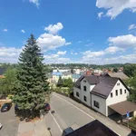 Rent 2 bedroom apartment of 49 m² in Wilkau-Haßlau