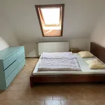 Pronajměte si 1 ložnic/e byt o rozloze 45 m² v Prague