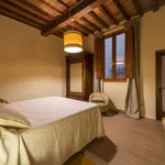 Rent 1 bedroom apartment of 50 m² in florence