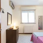 Rent 1 bedroom apartment in milan