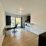 Rent 1 bedroom apartment in Leuven