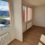 Rent 1 bedroom apartment in Beroun