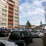 Rent 2 bedroom apartment of 40 m² in Bielsko-Biała