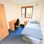 Rent a room in dublin