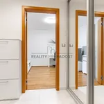 Rent 1 bedroom apartment of 38 m² in Praha