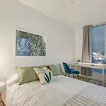  appartement avec 1 chambre(s) en location à Montreal