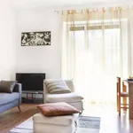 Rent 1 bedroom apartment of 65 m² in bologna