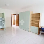 Rent 1 bedroom apartment of 41 m² in Pavia