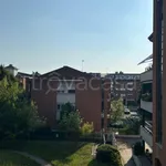 Rent 4 bedroom apartment of 120 m² in Udine