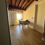 Rent 3 bedroom apartment of 50 m² in Siena