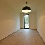 Rent 1 bedroom apartment in DENDERMONDE