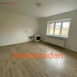 Rent 2 bedroom apartment of 41 m² in Ostrava