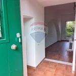 Rent 1 bedroom apartment of 40 m² in Napoli