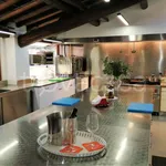 Rent 4 bedroom apartment of 1 m² in Rignano sull'Arno