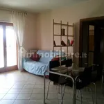 Rent 1 bedroom apartment of 40 m² in Frosinone