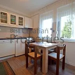 Rent 1 bedroom apartment of 50 m² in City of Zagreb