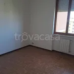 Affitto 4 camera appartamento di 150 m² in Piacenza