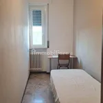 Rent 3 bedroom apartment of 80 m² in Novara