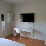 Rent 4 bedroom apartment of 110 m² in Parma