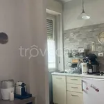 Rent 1 bedroom apartment of 40 m² in Torino